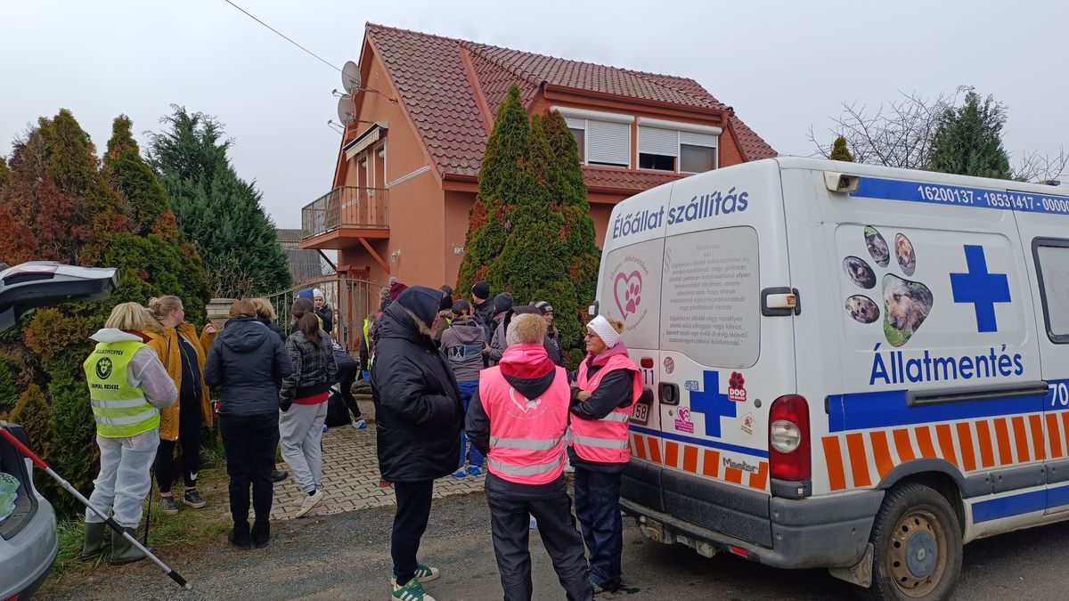 Újabb szaporítótelepet számoltak fel a szomszéd vármegyében