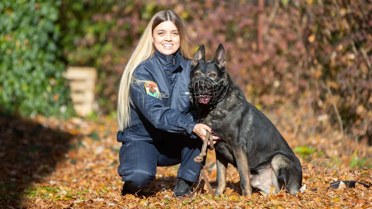 Kezdetben a gazdájára támadt Odin, később már a késelőtől is megvédte