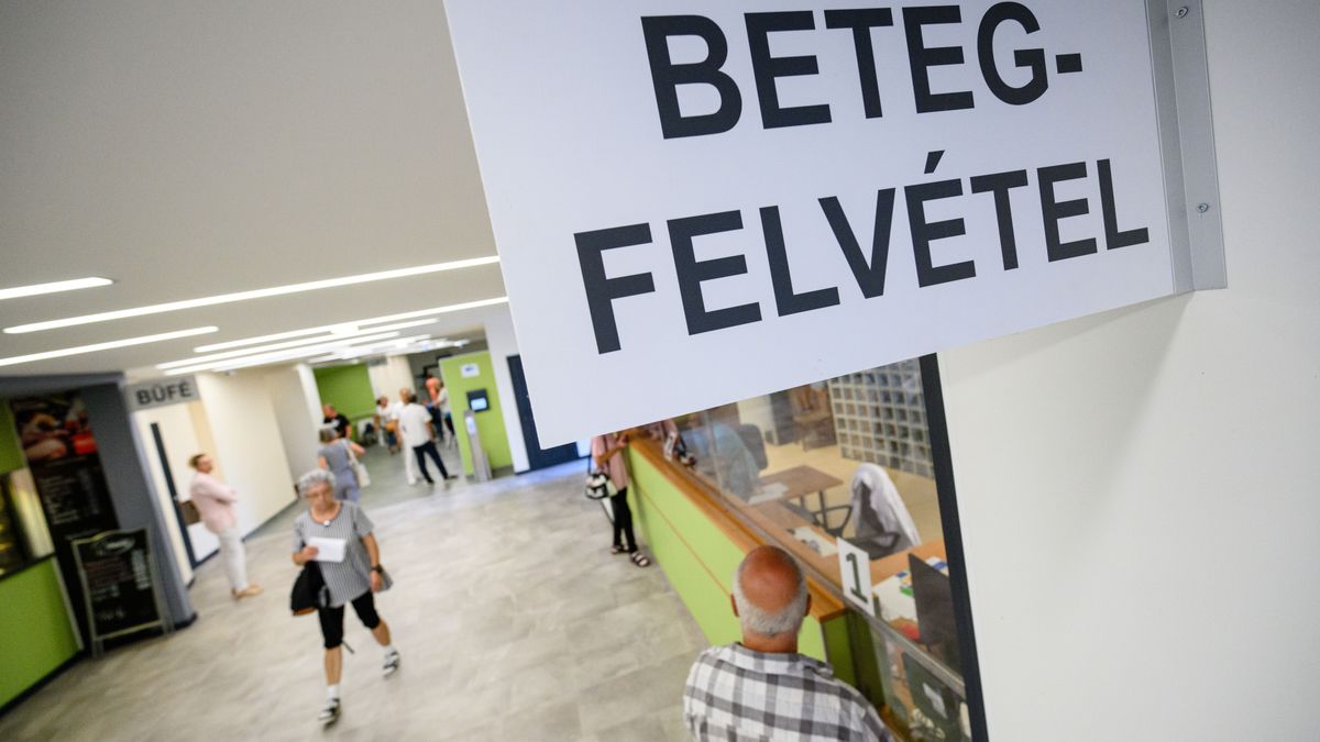 EgészségAblak: idén még több mint negyedmillió szabad járóbeteg időpont foglalható