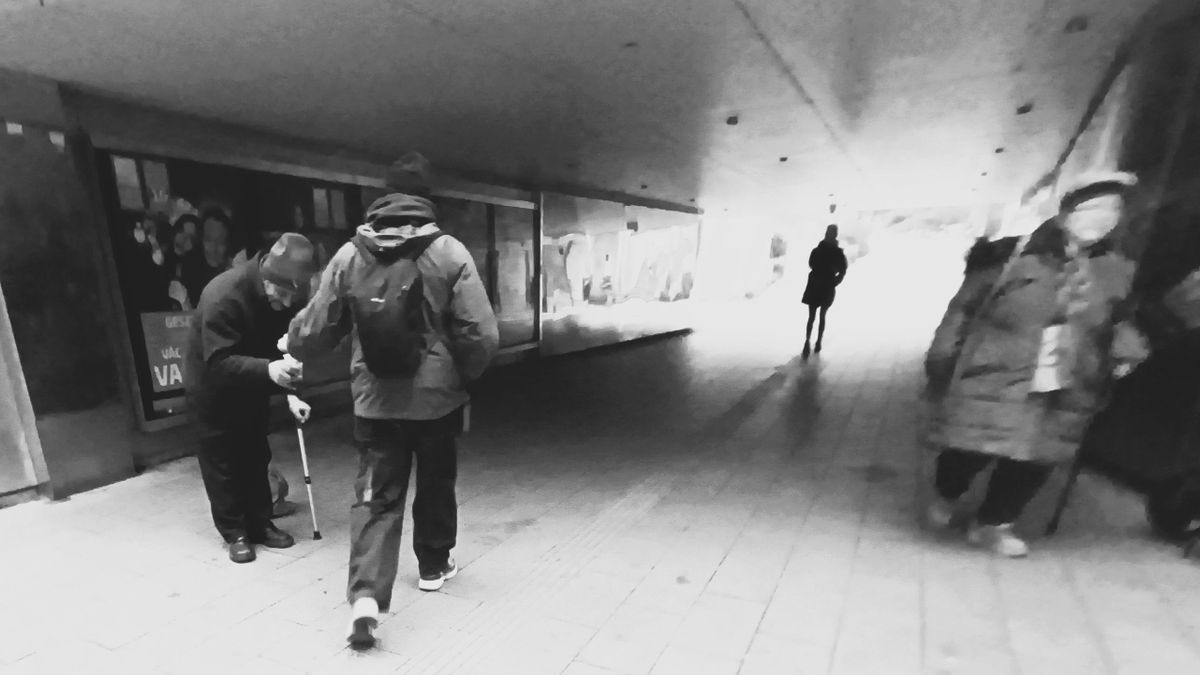 Veszprém feketén-fehéren a novemberi szürkeségben