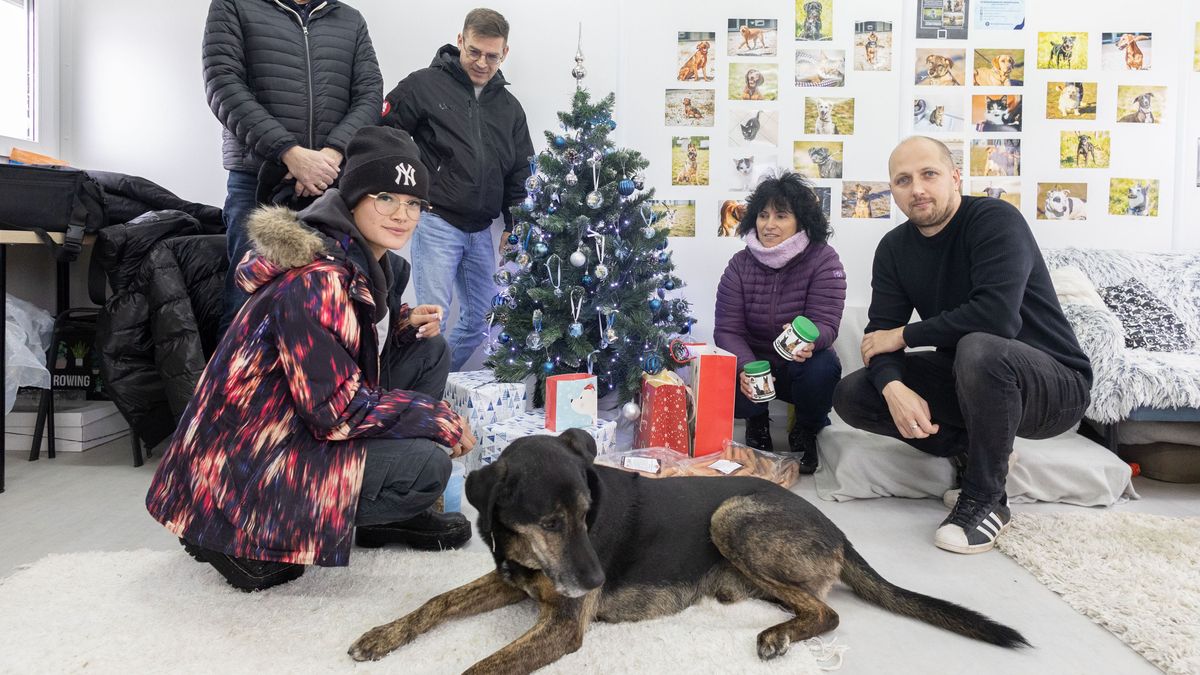 Adventi kalendárium a Napló ajándékaival