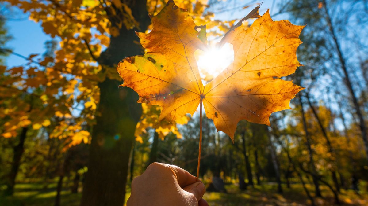 Csütörtökön is a fátyolfelhőzeté lesz a főszerep