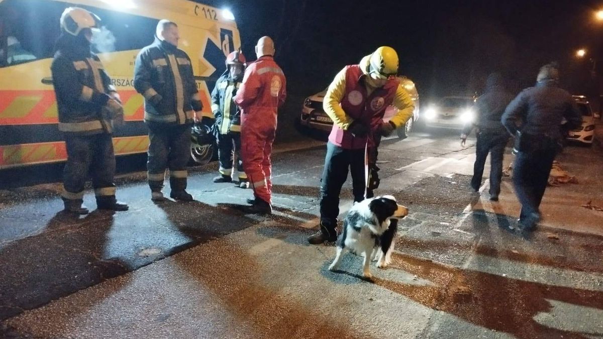 Gázrobbanás Miskolcon: három kutyával keresték a romok alatt az áldozatokat