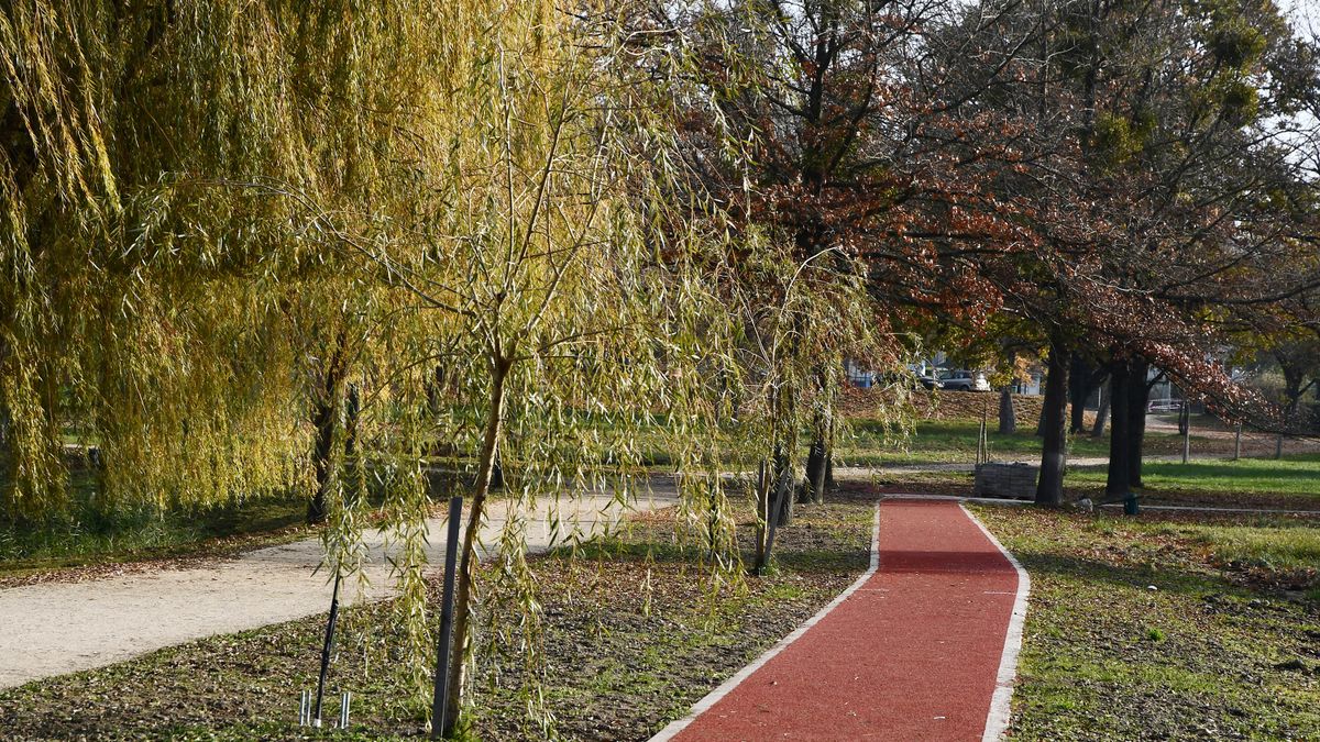 A futópálya igazi élményt nyújt