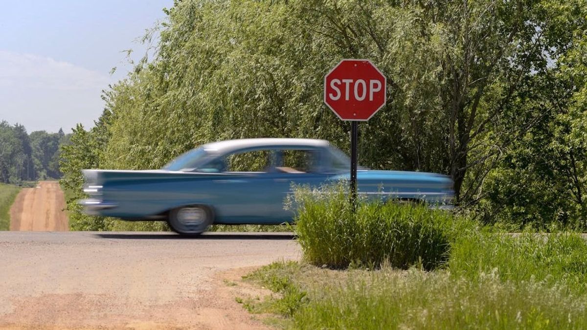 A STOP mindenkinek STOP (Videó)