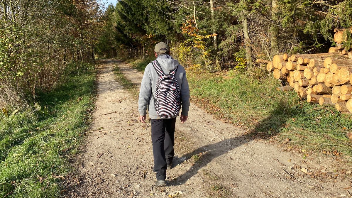 Bakonyi látnivalók – 6+1 tuti tipp hétvégére, hogy ne maradjon le az aranyló őszi színekről (videó)