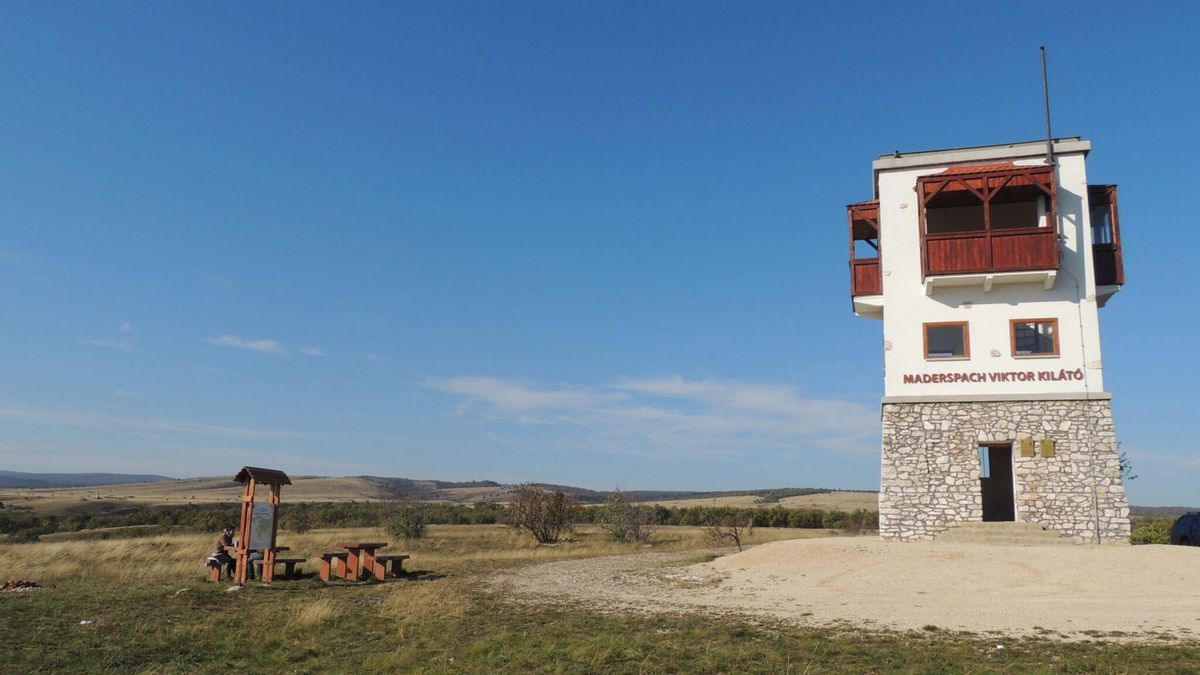 Márciusig pá-pá lőtéri kilátó!