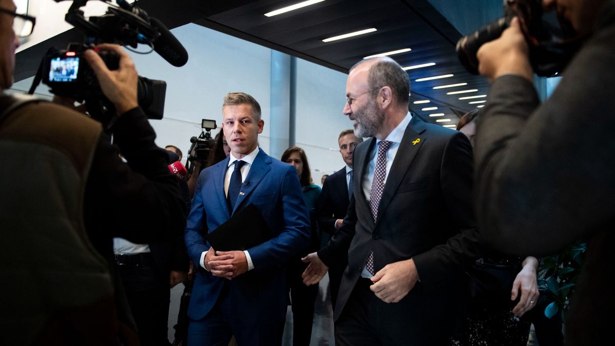 Deutsch Tamás: Manfred Weber politikai védelmet biztosít az Európai Parlamentben Magyar Péternek (videó)