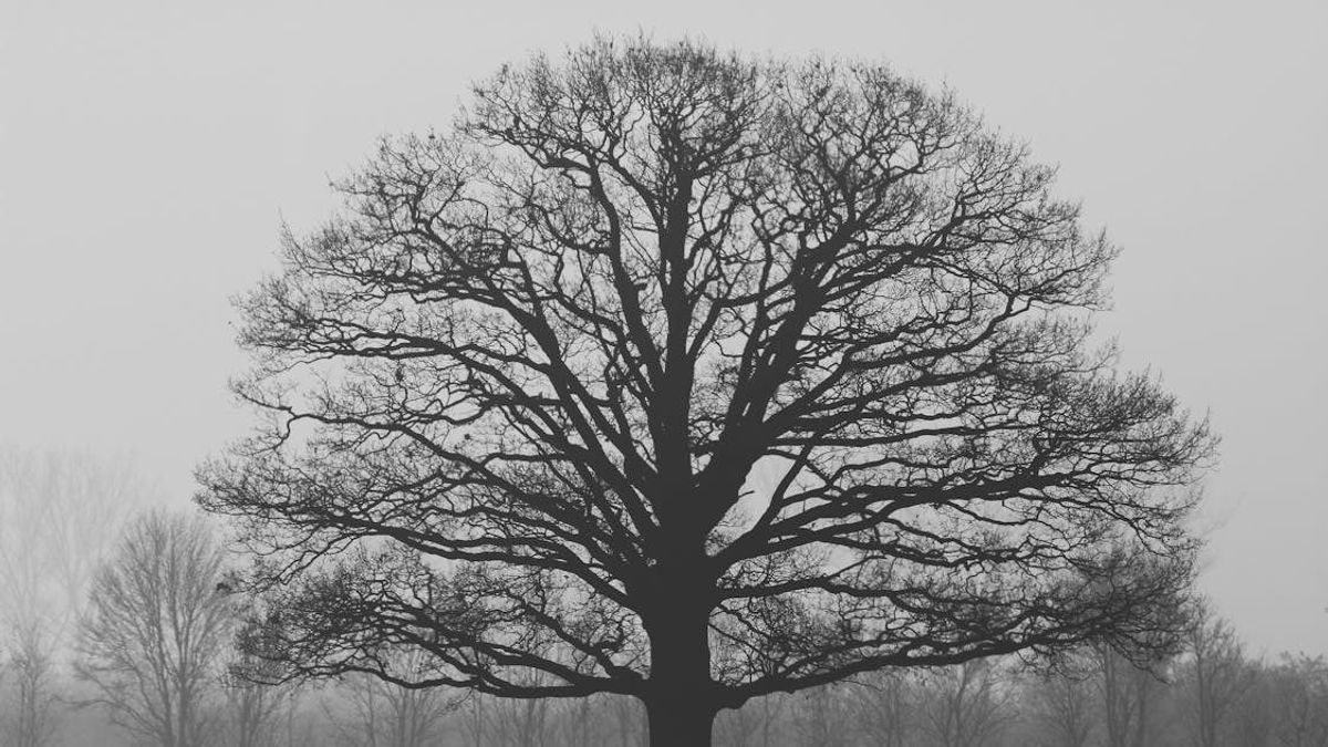 Ködös, de részben napos idő várható