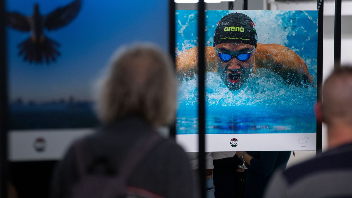 Magyarország 365: díjazták a Mediaworks munkatársait is