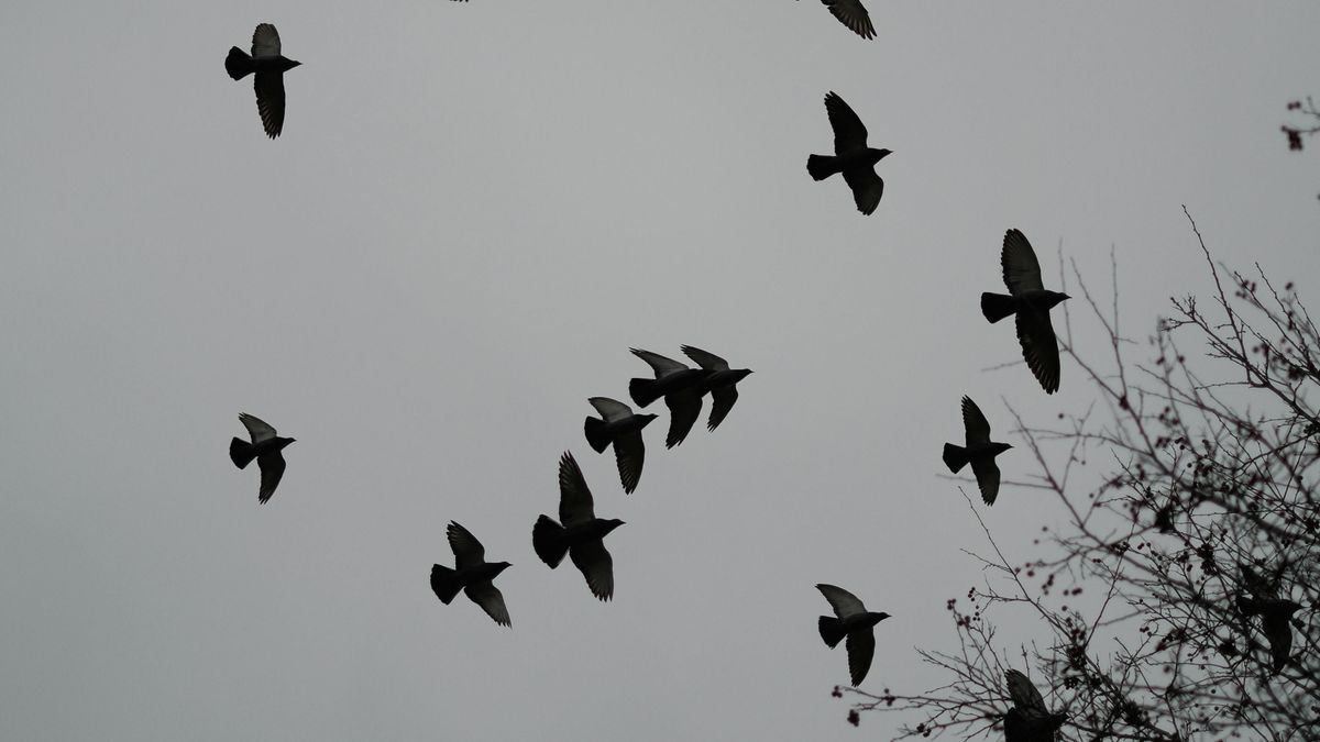 Borult marad az idő