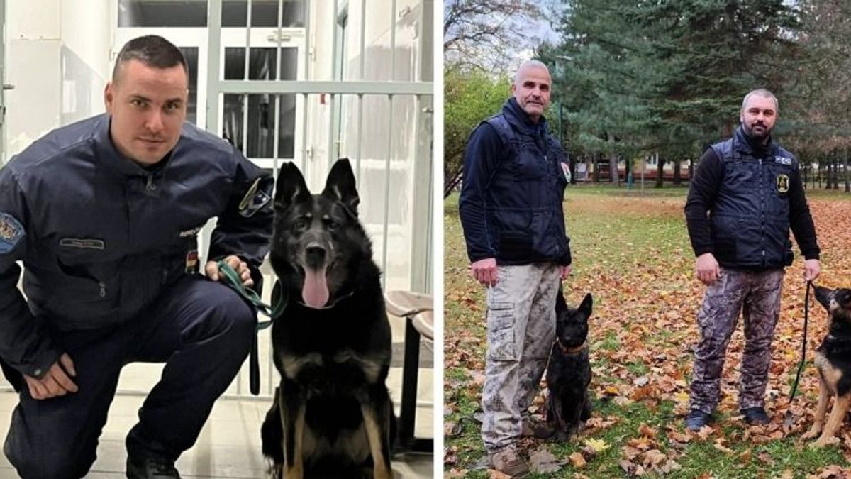 Kicsi, Doki és Pörgi nagy fogása: drogtanyára bukkantak a rendőrkutyák