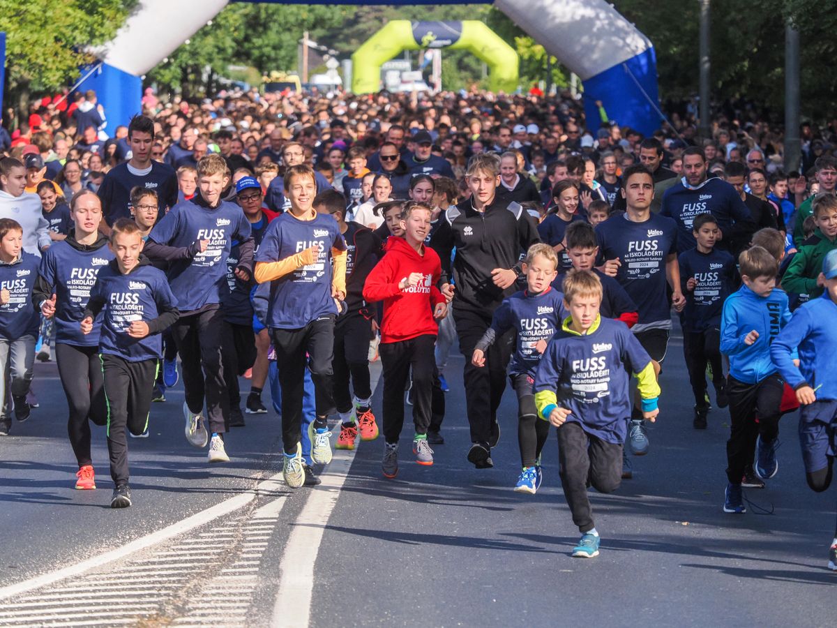 Fotóválogatással foglaljuk össze a Veszprém vármegyei sport 2024-es évét. Az év sportpillanatai között többféle sportág, sportoló és helyzet megtalálható.