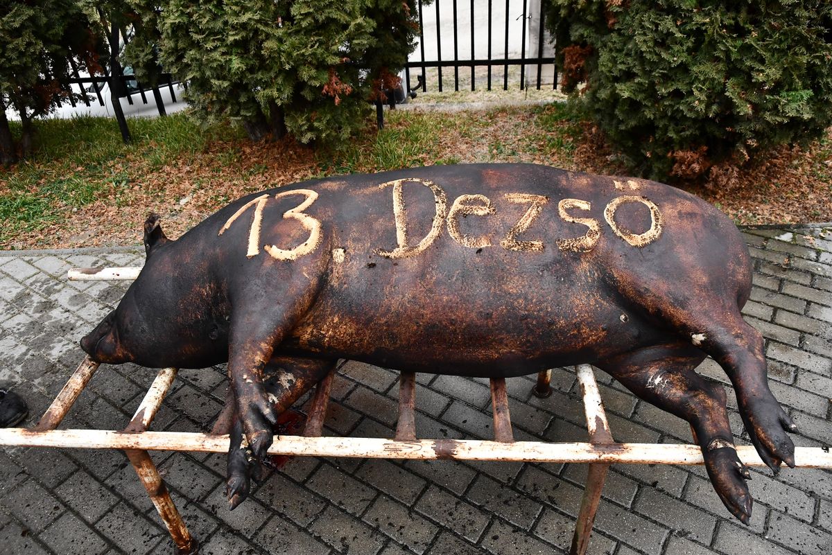 13. Dezső a mennybe ment a közös munkát követően