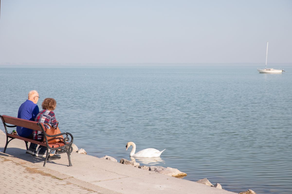 Életveszélyes karókat távolítottak el a Balatonból