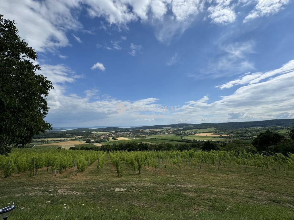 Szőlőskert eladó a Balatonnál, pazar kilátással.