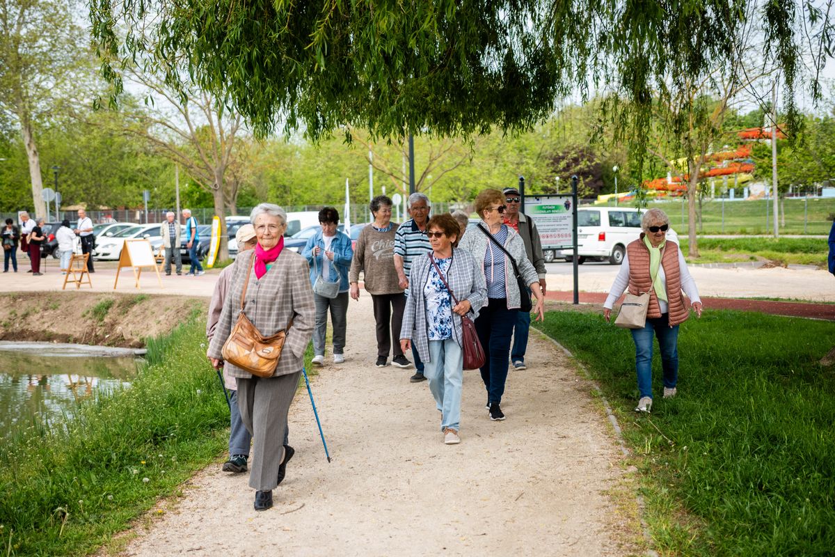 Sokan gyalogoltak Monspart Sarolta emlékére Fotó: Gyarmati László