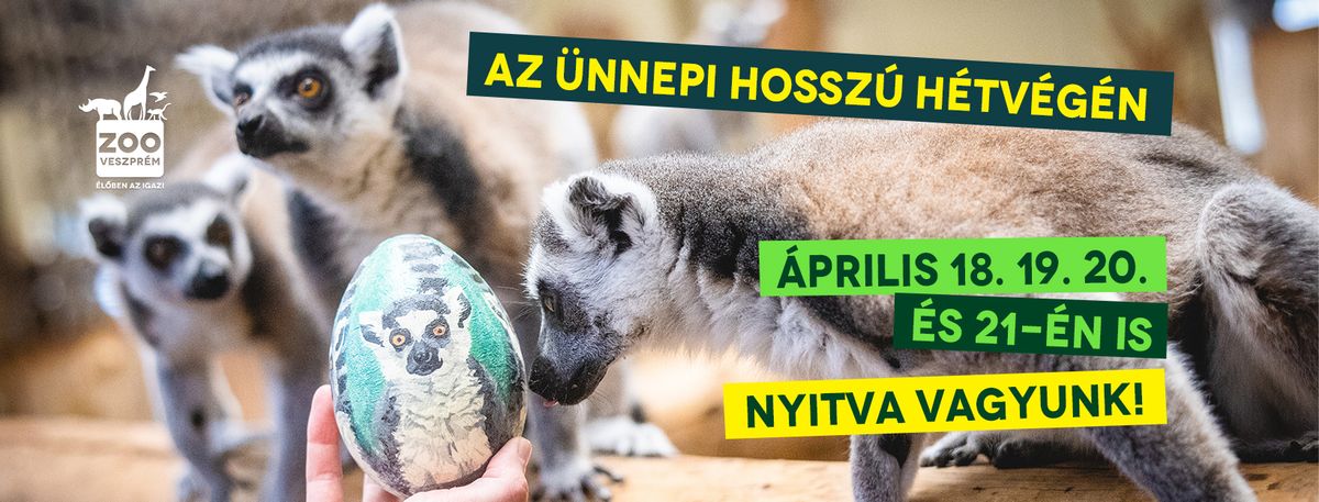 A Veszprémi Állatkert húsvétkor is várja a látogatókat
