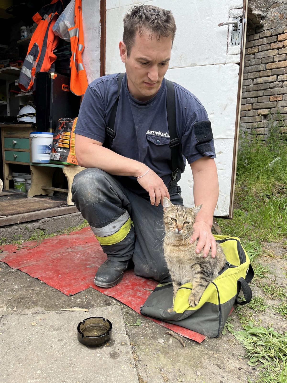 Macska szorult helyzetben