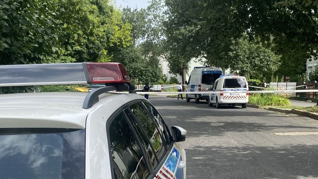Embertelen brutalitással végezte ki nagyanyját a veszprémi férfi