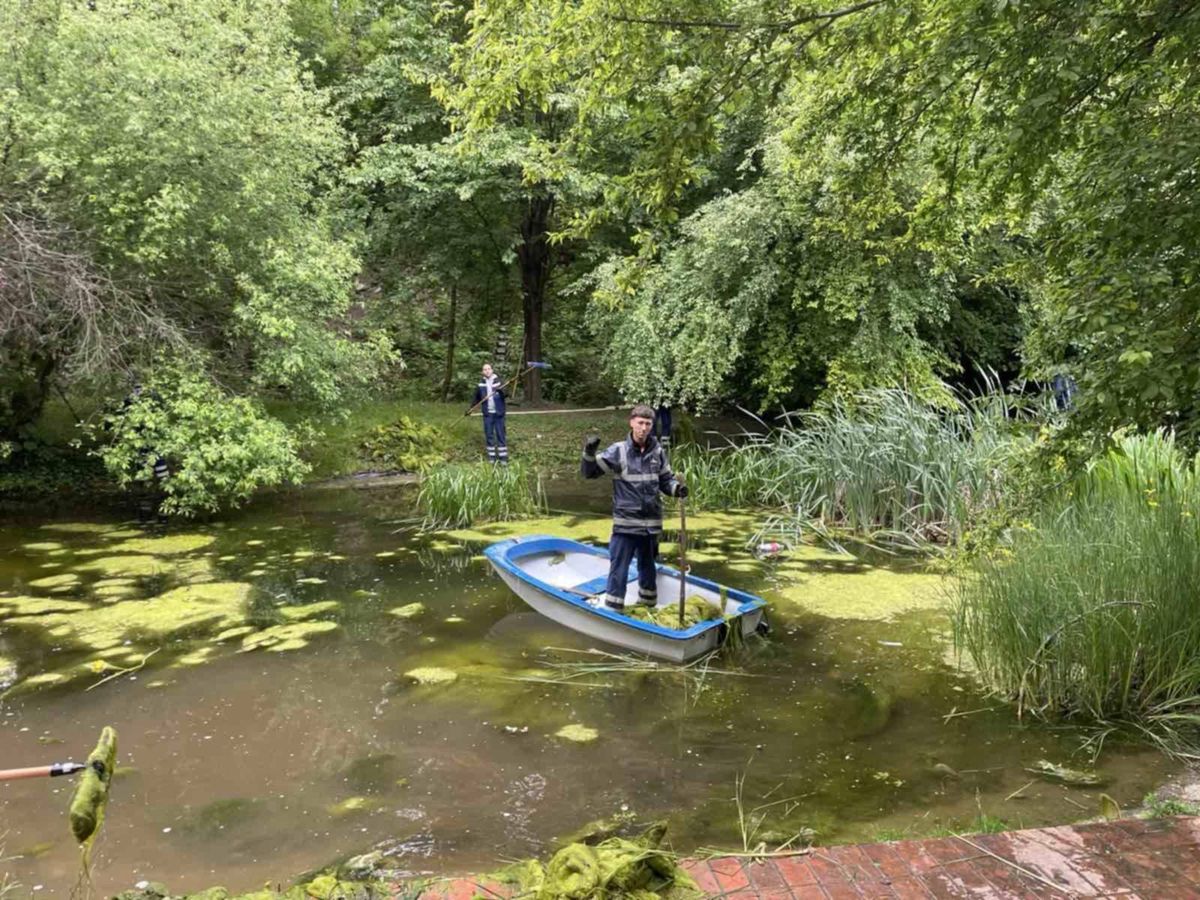 A VKSZ dolgozói megtisztították a Völgyikút park tavát