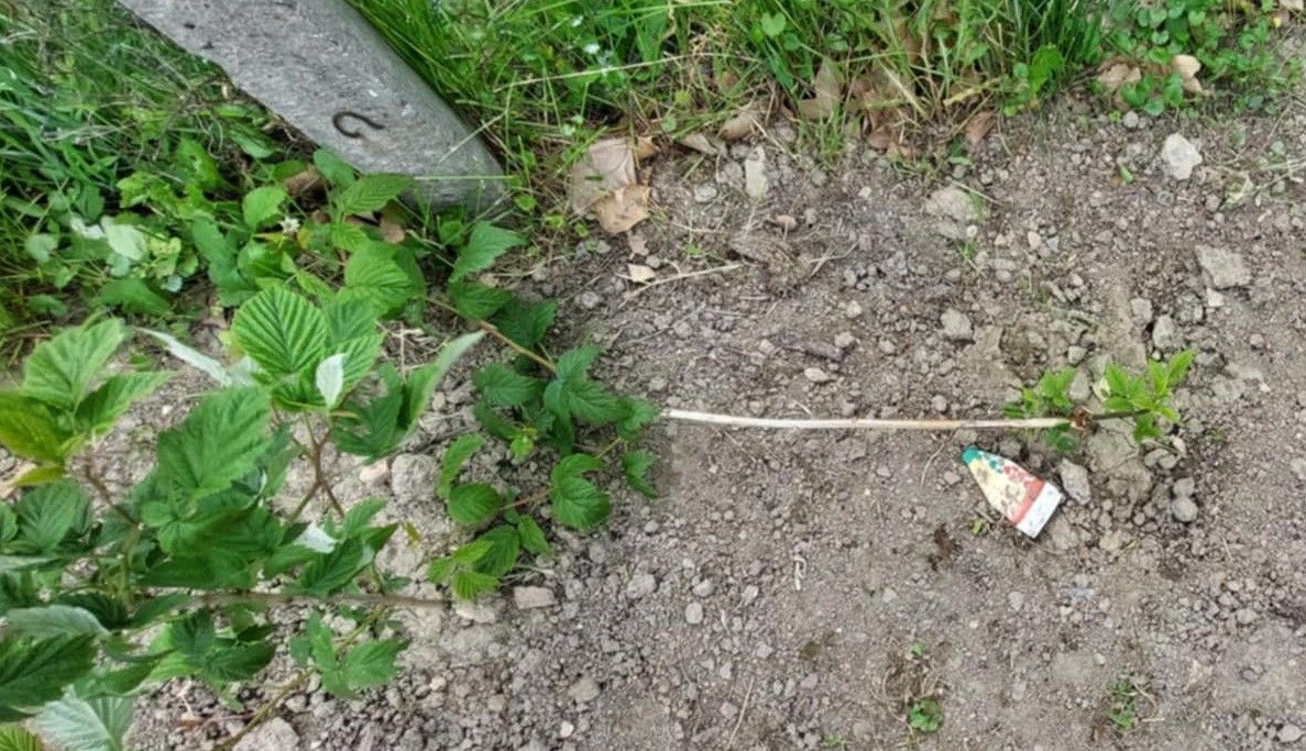 Az óvoda kertjét dúlta szét valaki Jásdon, letördelte a megeredt málnabokrokat, széttépte az ültetőcédulákat.