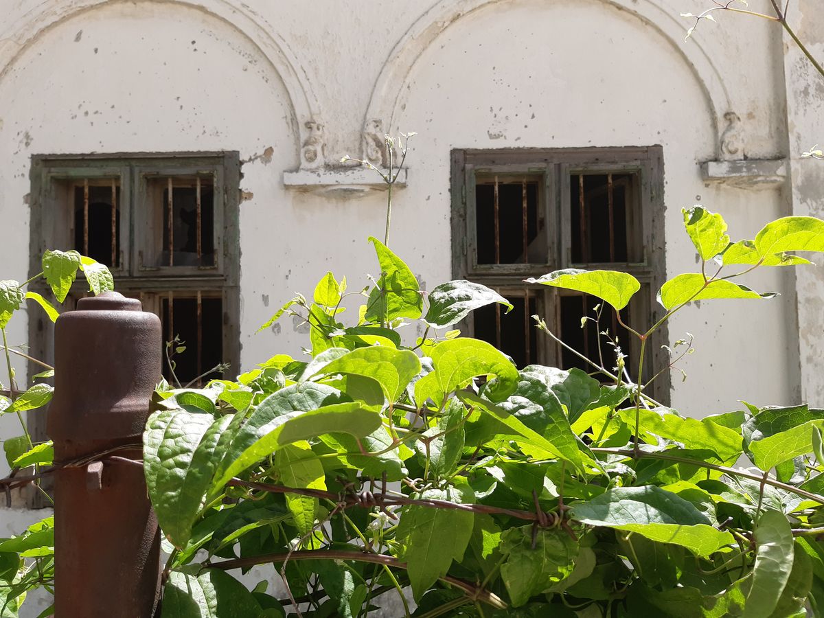 Kvízünkben elvisszük egy barokk és klasszicista elemeket őrző, kastélynak nevezett bakonyi kúriába is.