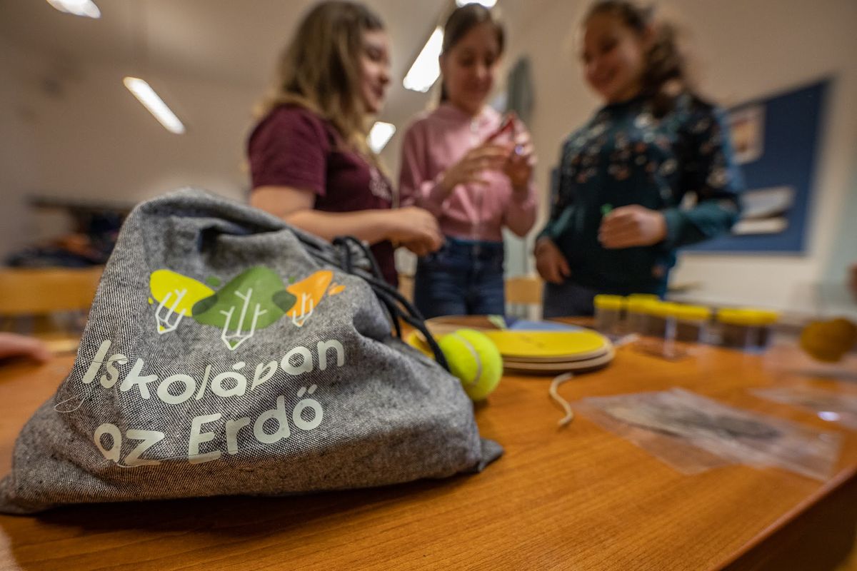 Iskolában az Erdő Program - Tavasszal 28 iskola 2400 diákja vett részt a Bakonyerdő Zrt. interaktív foglalkozásain