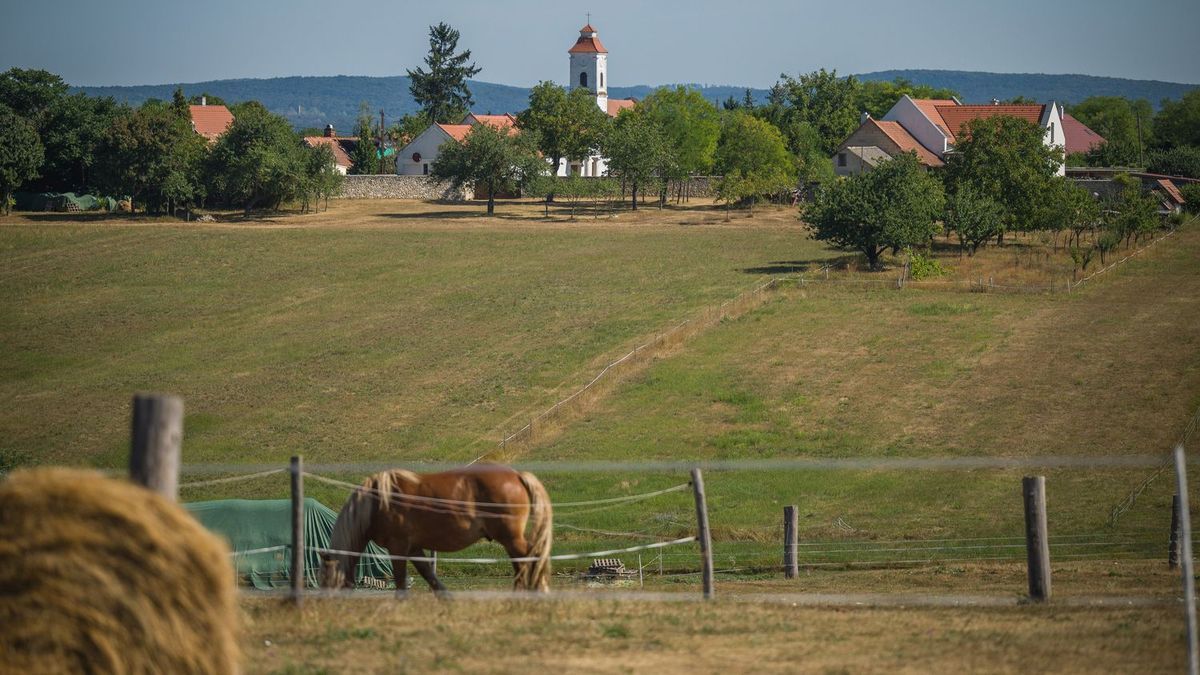 Kerti fúrt kút: súlyos bírságot kaphat, aki nem jelenti be a kutat
