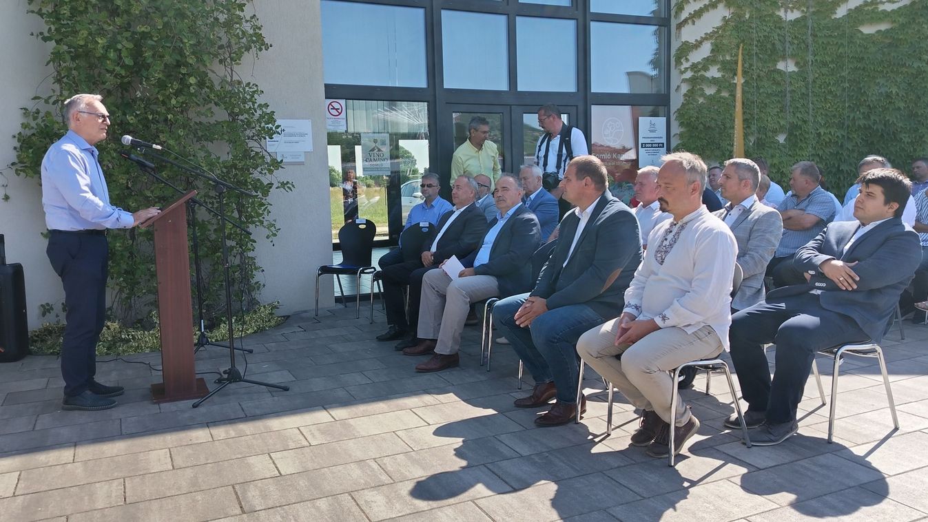 Támogatás a fejlesztéshez, a szőlőtelepítéshez
