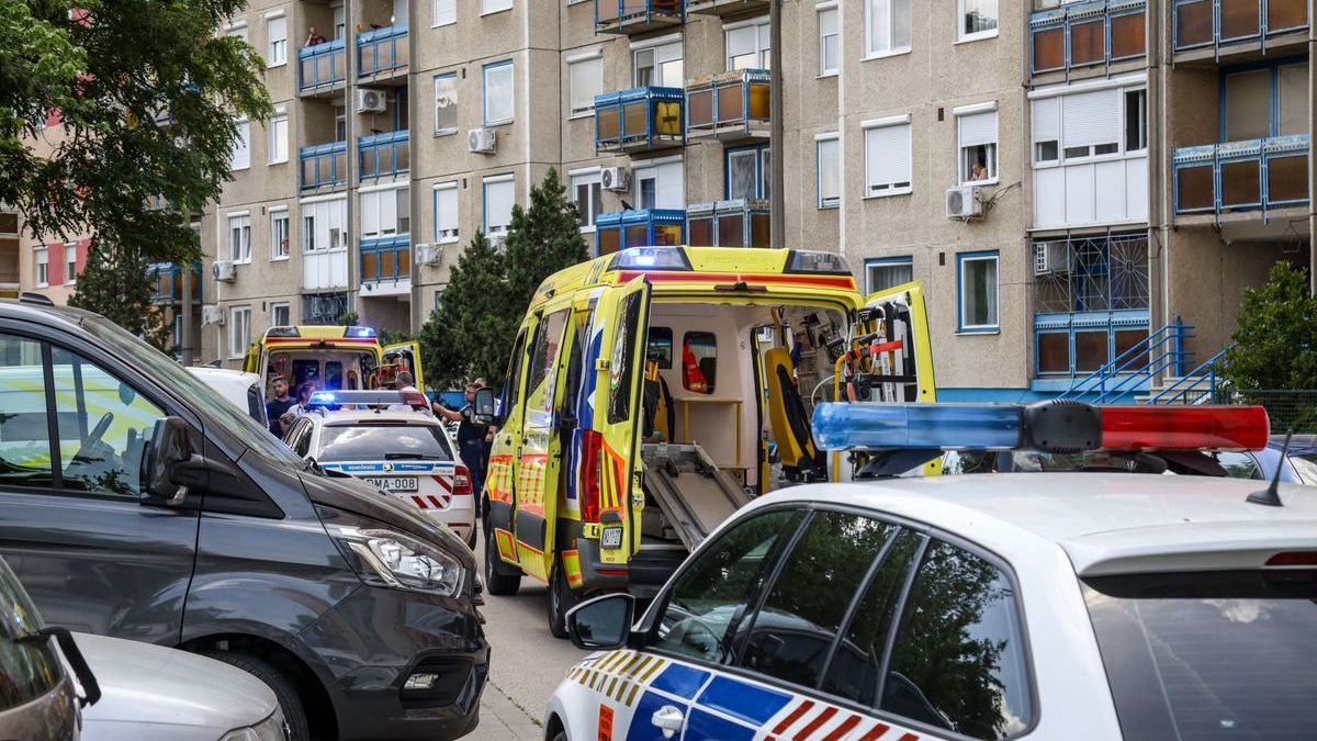 Szörnyű ordítás után véres dráma, saját anyját szurkálta szét a férfi a lakótelepen
