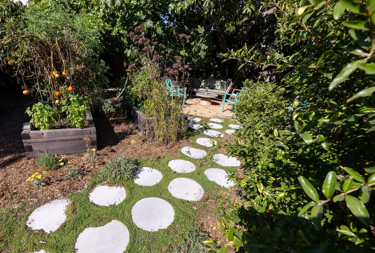 Culver City psychologist Angel Black always wanted a food garden outside her home, but her attempts at growing veggies was not successful until she and her husband agreed to hire Farmscape, a design firm that creates edible landscapes.