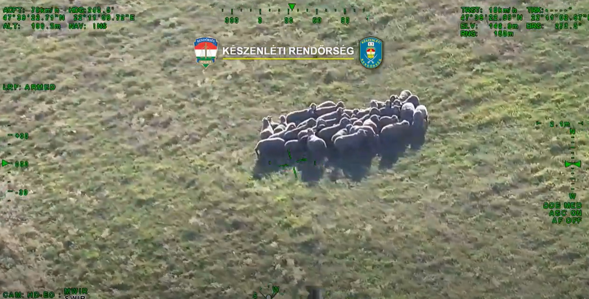 Égből érkezett a csoda: a bajba jutott öreg bácsi és juhai így menekültek meg