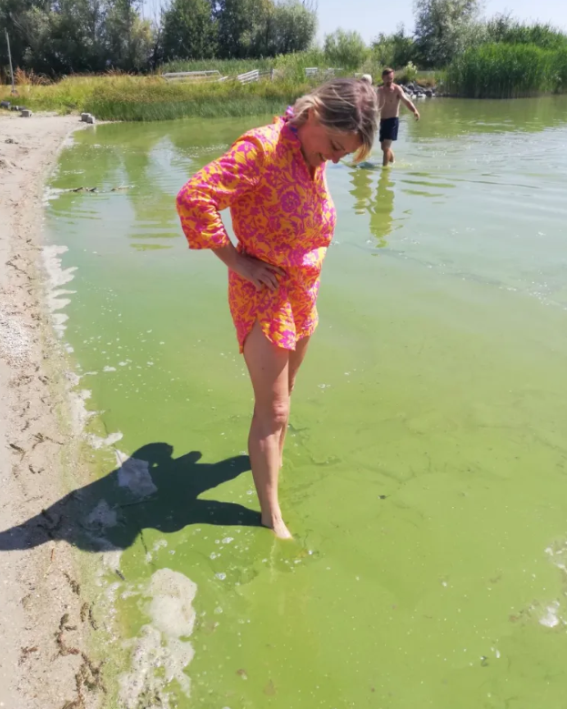 Algavirágzás a Balatonon: Olvasói fotó Balatongyörök egyik strandjának vízéről 2025. június 15-én