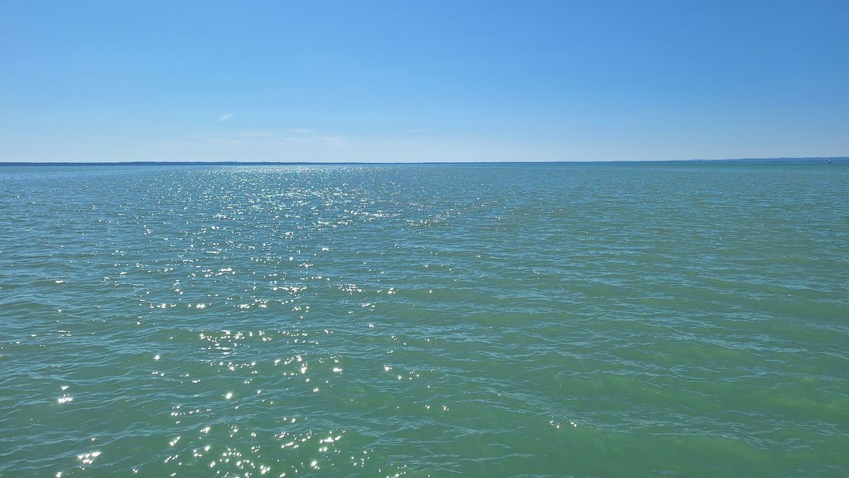 Bajban a Balaton, halálos betegség terjed a vizében