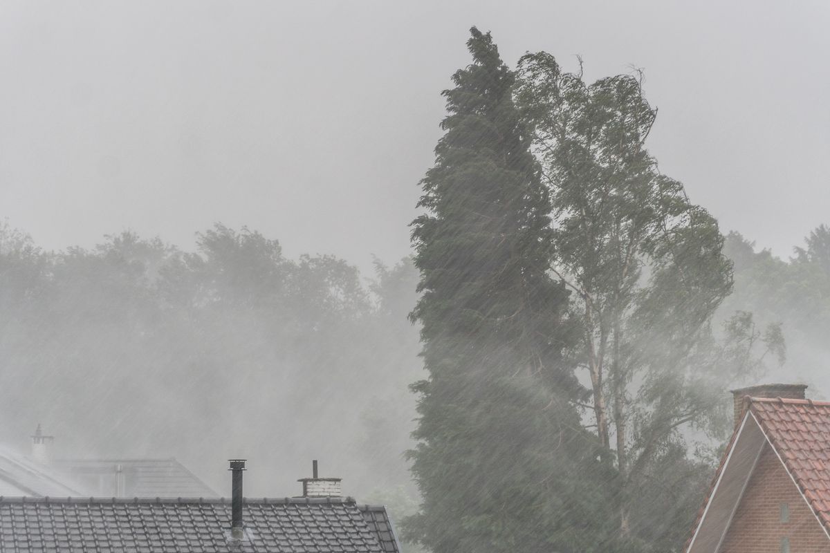 Heavy rain in spring zivatar
