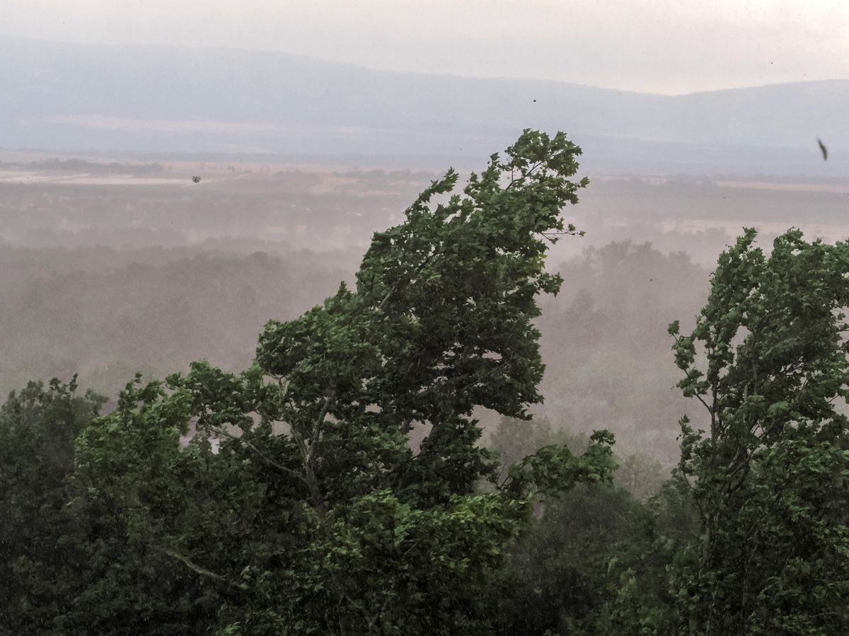 Időjárás a Balatonnál – A hétfői szélvihar rengeteg kárt okozott Veszprém vármegyében.