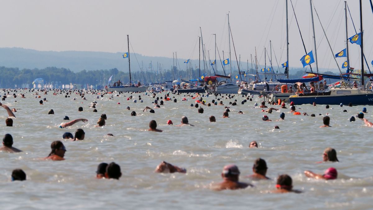 Erre várt 13 ezer ember, döntöttek az idei Balaton-átúszás sorsáról! Mutatjuk a részleteket