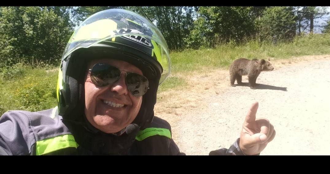 Szelfizett és nevetgélt a medve körül a turista.