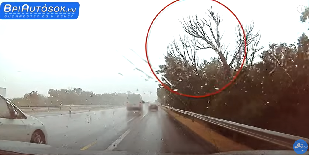 Fa dőlt az autóra az M7-esen - mindent felvett a kamera