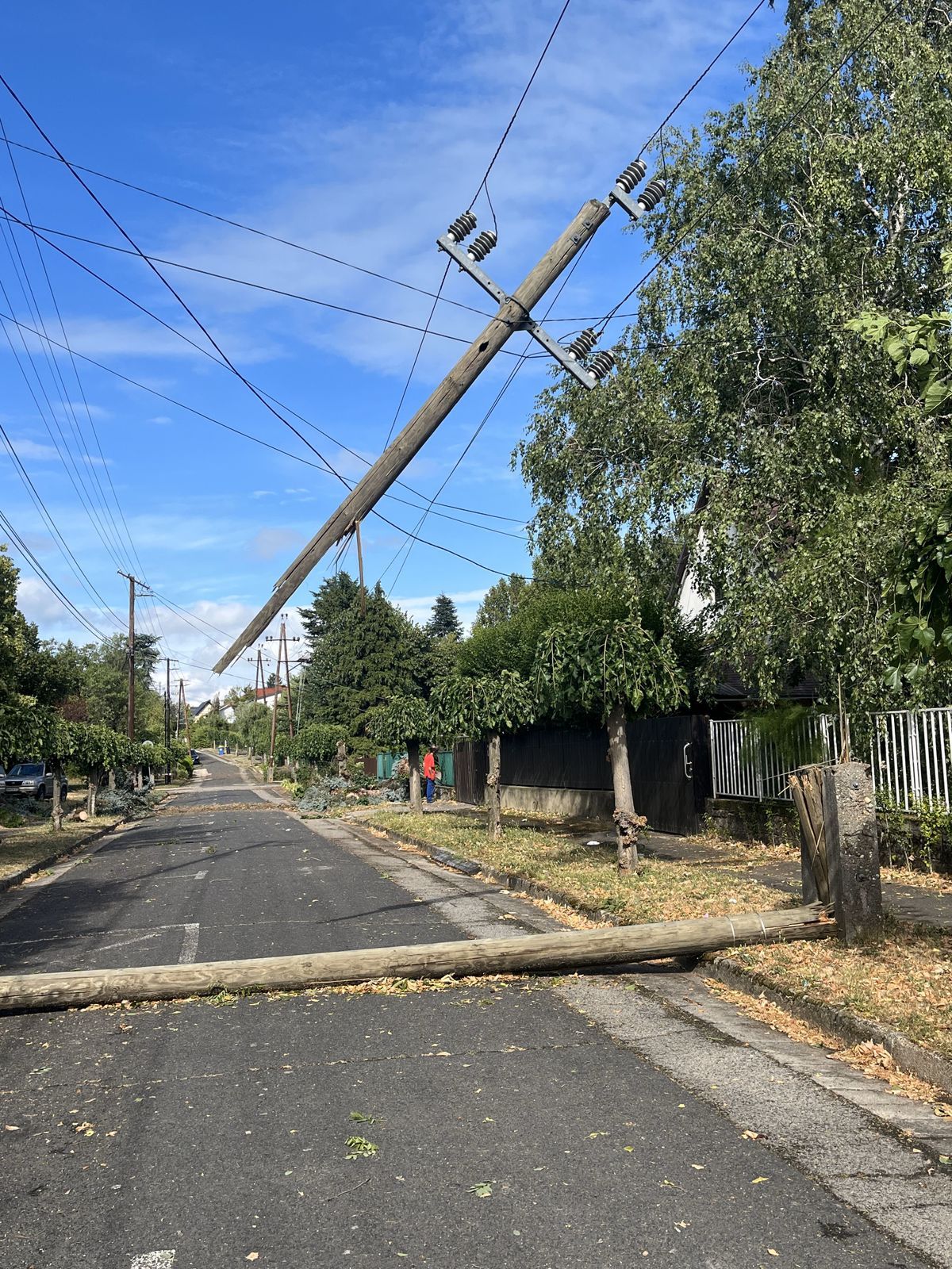 Fákat, villanyoszlopokat döntött ki a vihar.
