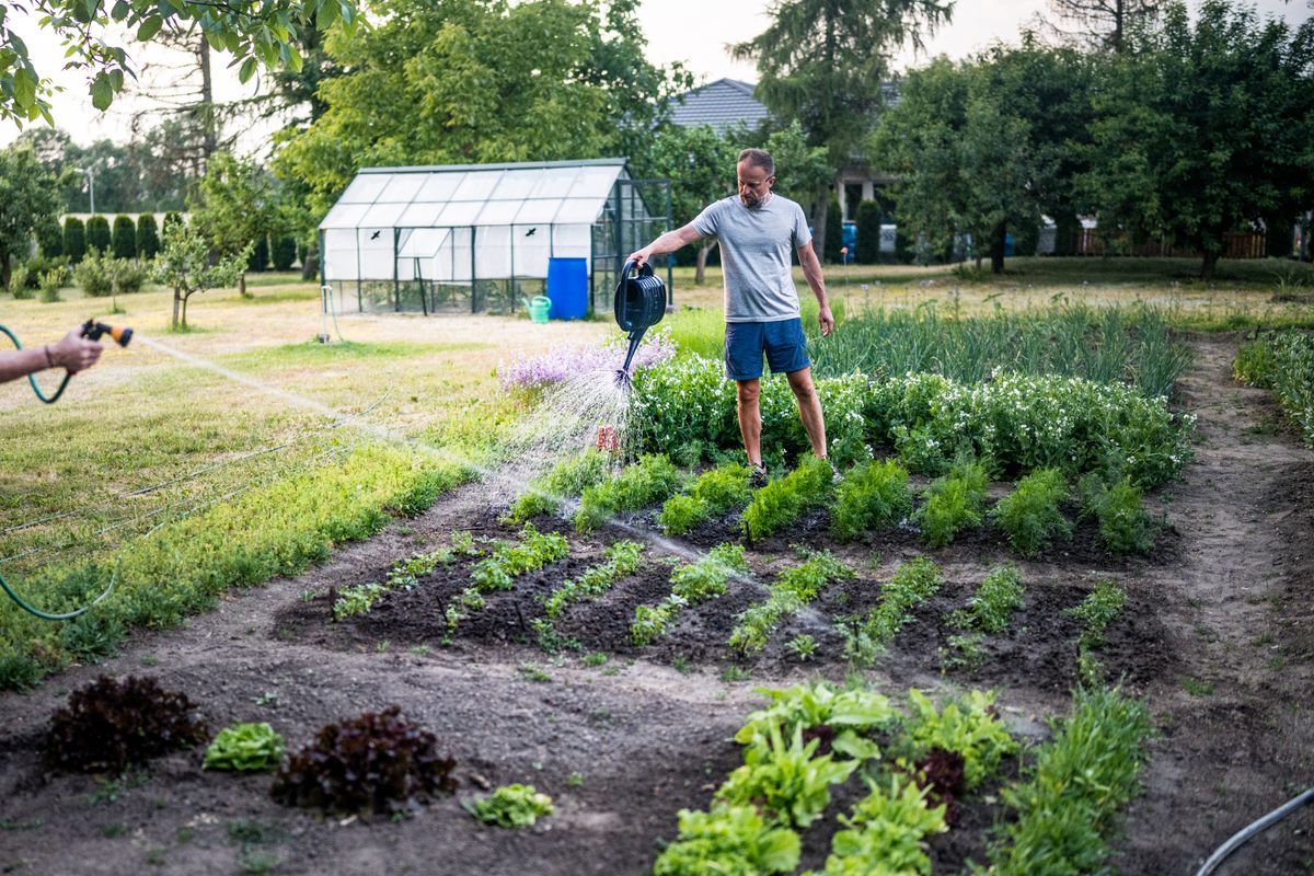 A man is watering the garden.