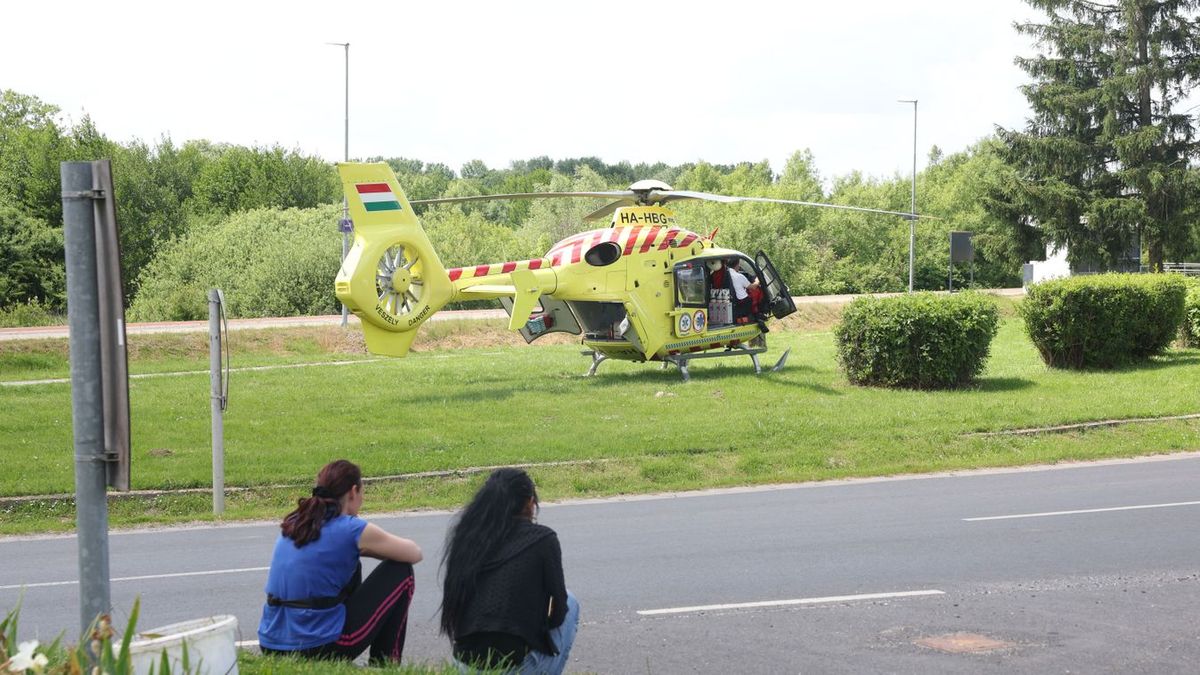 Favágóra dőlt egy fa  a helyszínre mentőhelikopter is érkezett