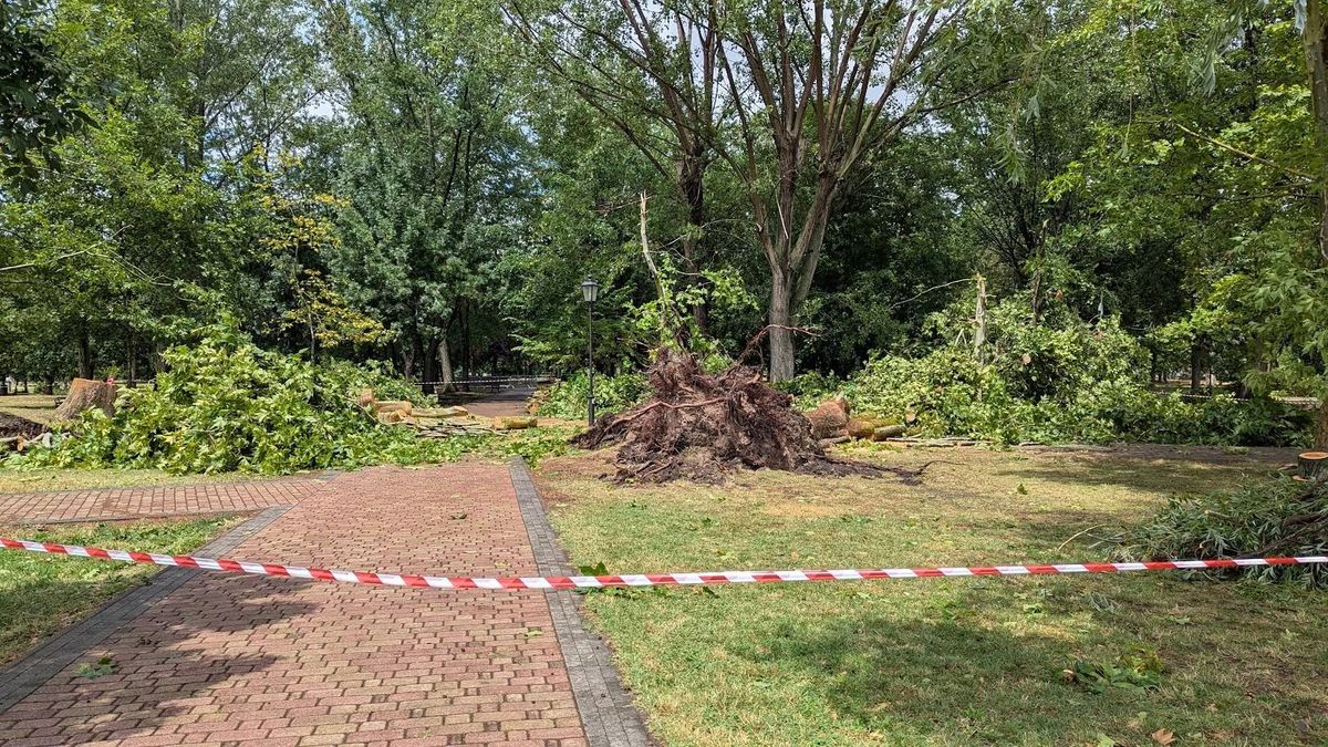 Balatonalmádiban a liget egy része a vihar után le lett zárva