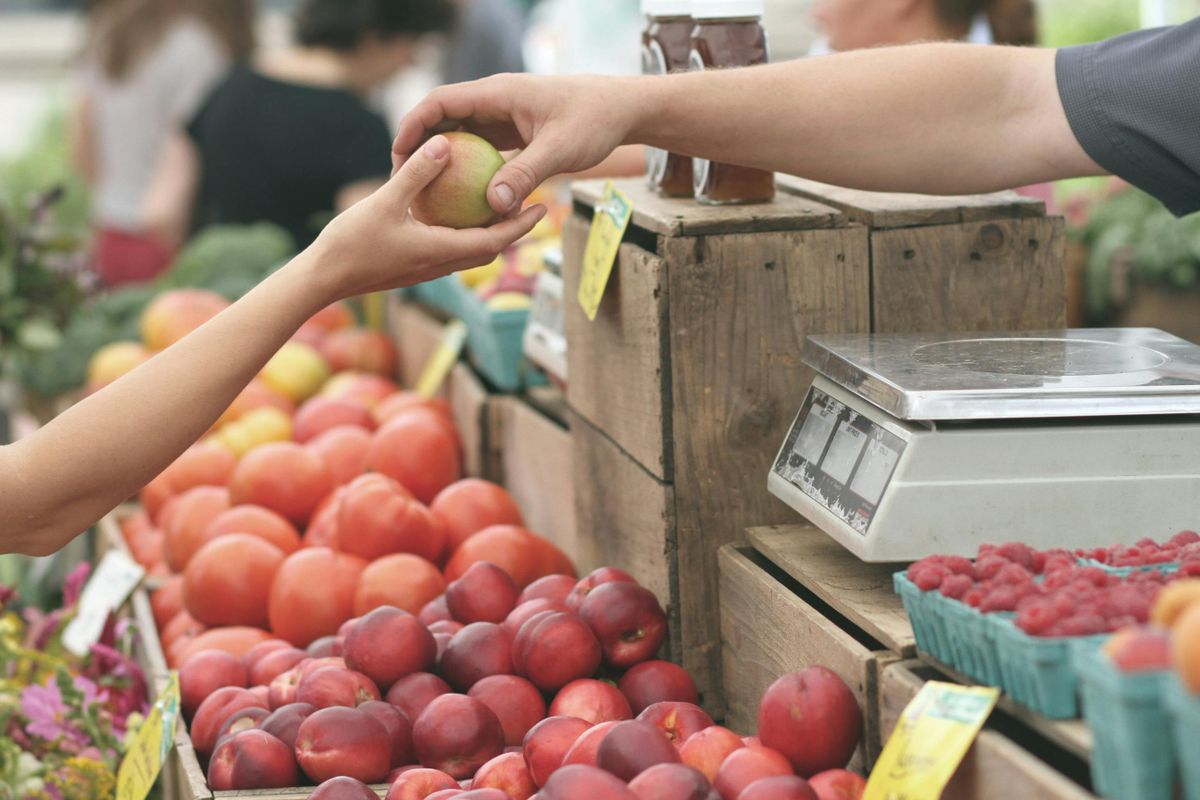 Megkezdődtek a nyári ellenőrzések Fotó: pexels.com