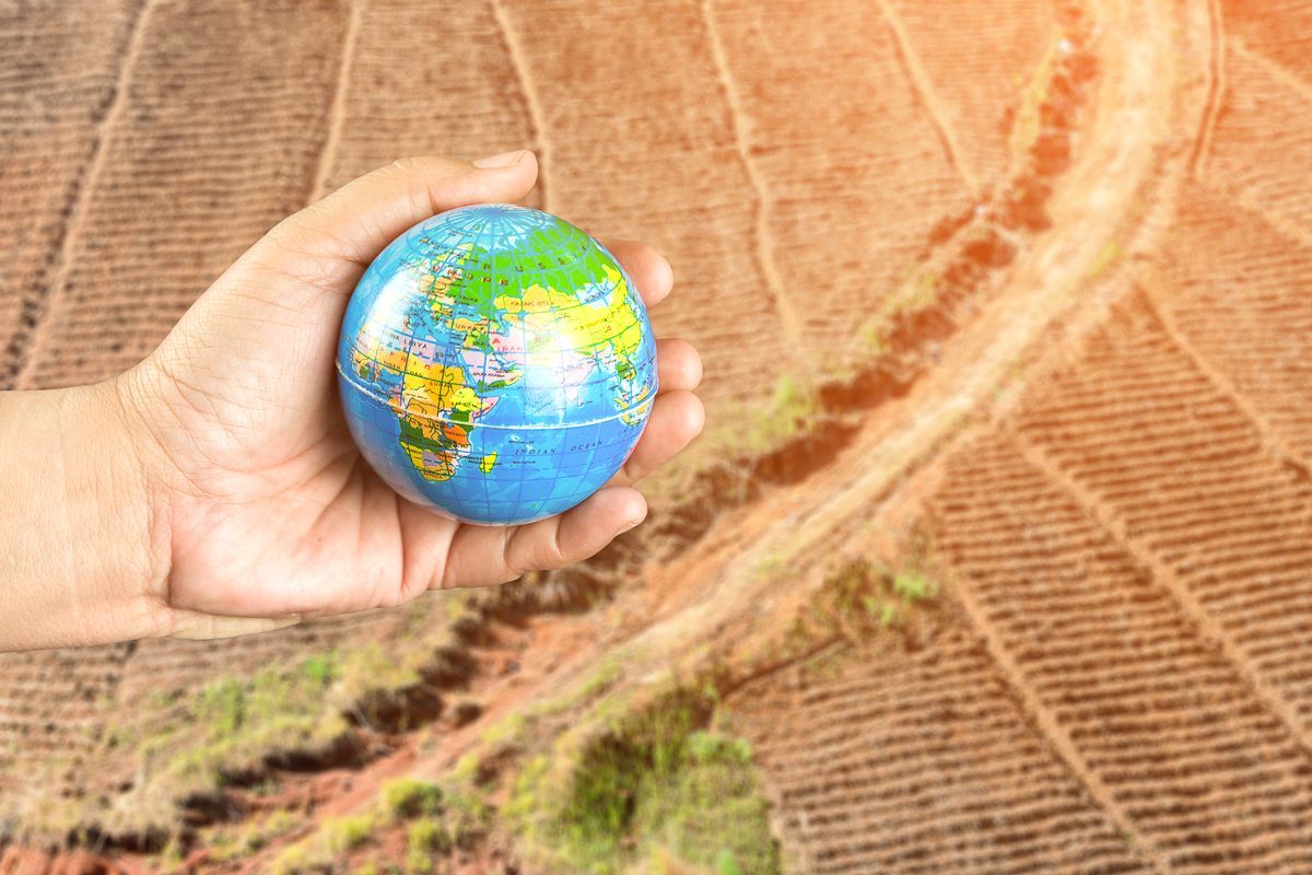 A hőség idén júniusban minden korábbinál intenzívebb volt. Fotó: Myibean / Shutterstock