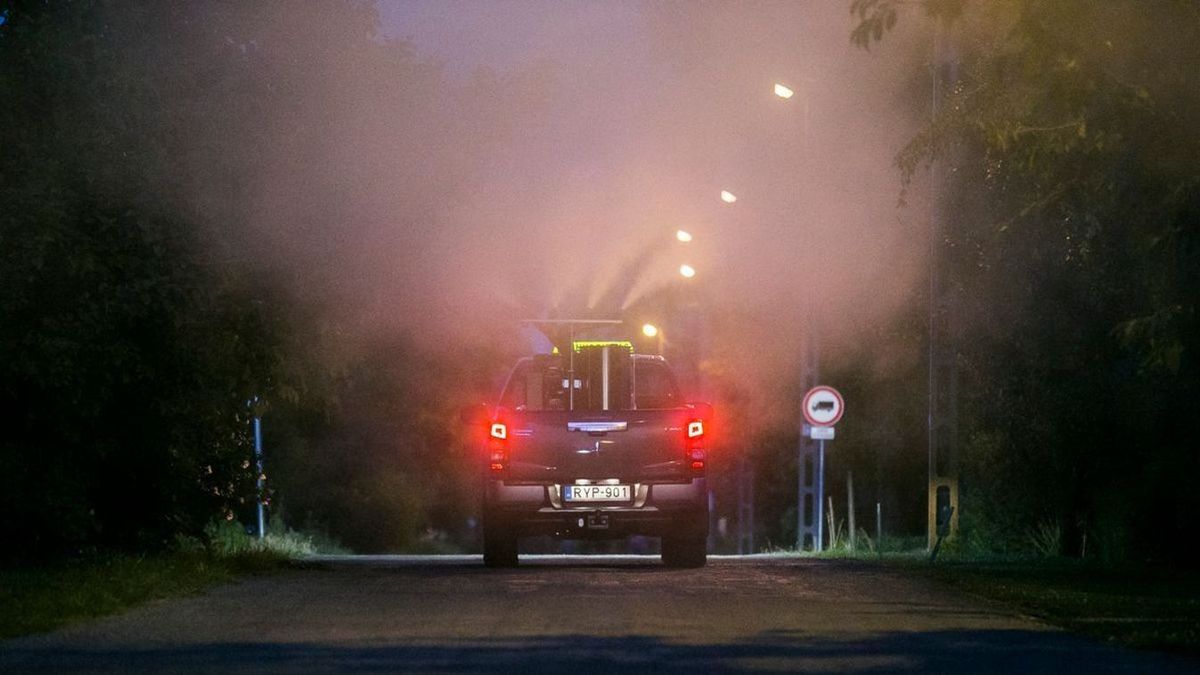Szúnyogirtás: tényleg ártalmas lehet a kisbabáknak?