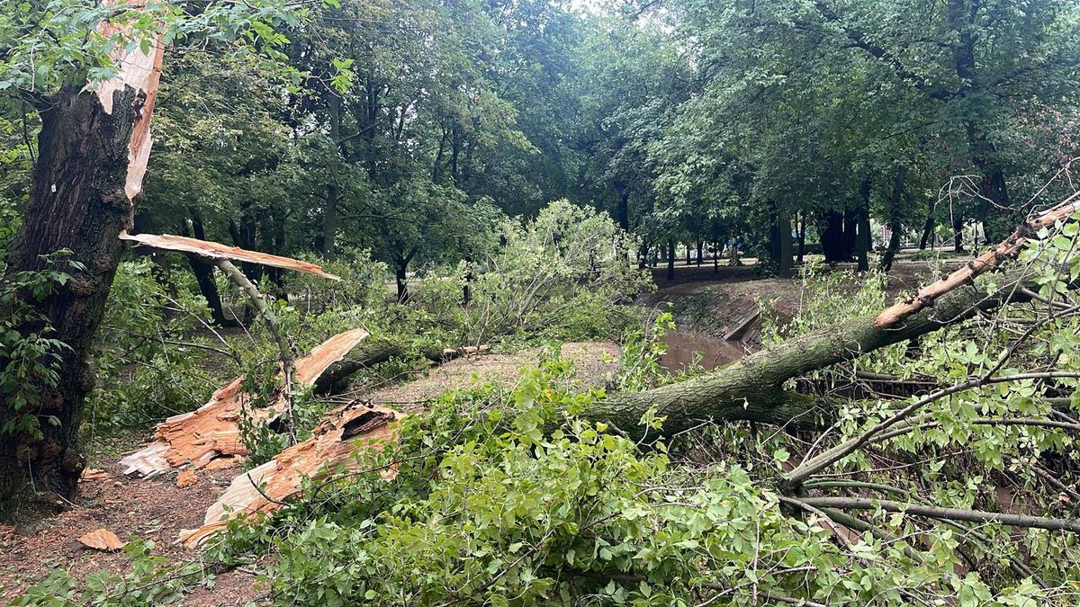 Balatonalmádin is végigsöpört a pusztító erejű vihar