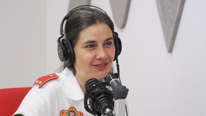 Cikk képe