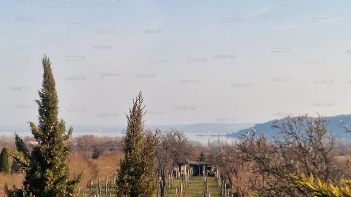 Ingatlan Balatoni ingatlan eladó: panorámás családi kertes ikerház